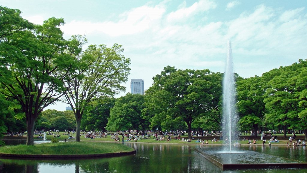  Un parc din Tokyo, focarul primelor cazuri de febră dengue apărute în Japonia în ultimii zeci de ani