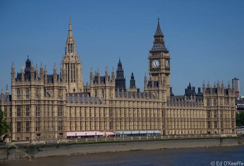  Parlamentarii britanici au dorit să folosească pisici pentru a elimina şoarecii din Westminster