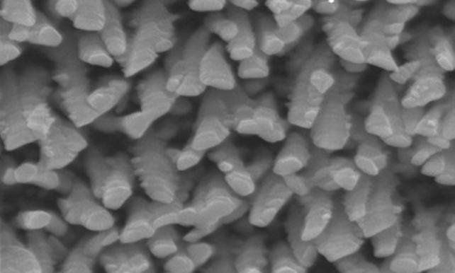 Nanostructură antibacteriană din titan pentru protejarea implanturilor osoase, brevetată de medici spanioli