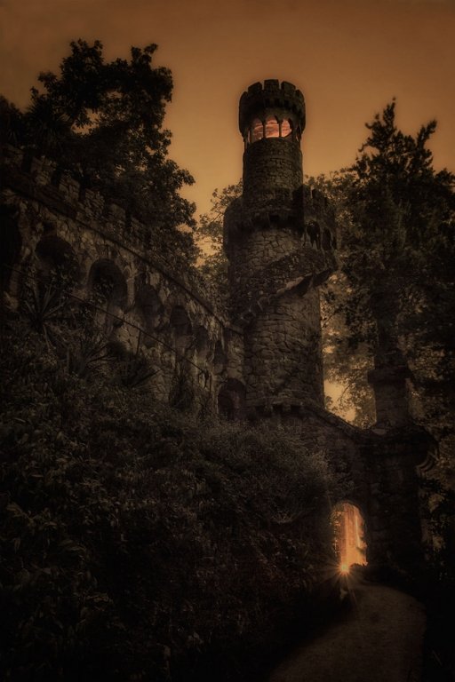  126403_86392_stiri_Palace-of-Mystery-Quinta-da-Regaleira-by-Taylor-Moore2__880