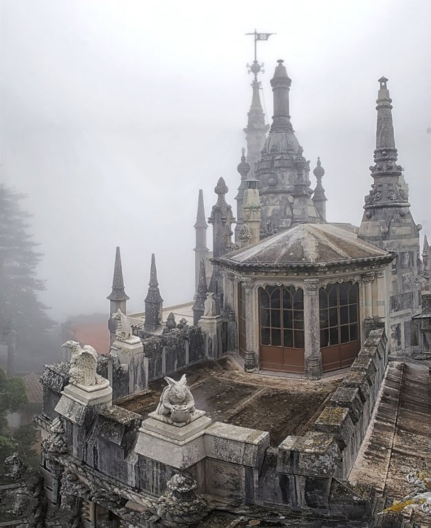 126413_86392_stiri_Palace-of-Mystery-Quinta-da-Regaleira-by-Taylor-Moore31__880