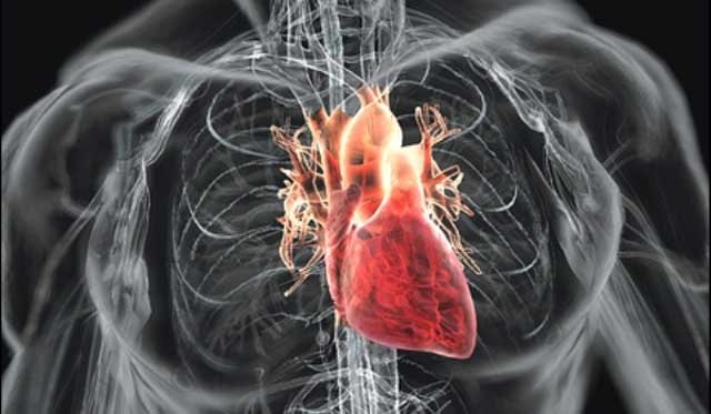  PERFORMANŢĂ IEŞEANĂ: Vase de sânge artificiale şi geluri care lipesc inima