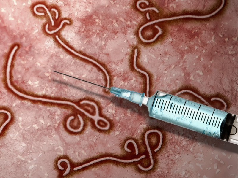  O proteină care oferă protecţie împotriva virusului Ebola, descoperită de cercetătorii americani