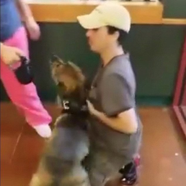  VIDEO: MOMENT EMOŢIONANT – Un câine s-a reîntâlnit cu stăpânul său după 1 an