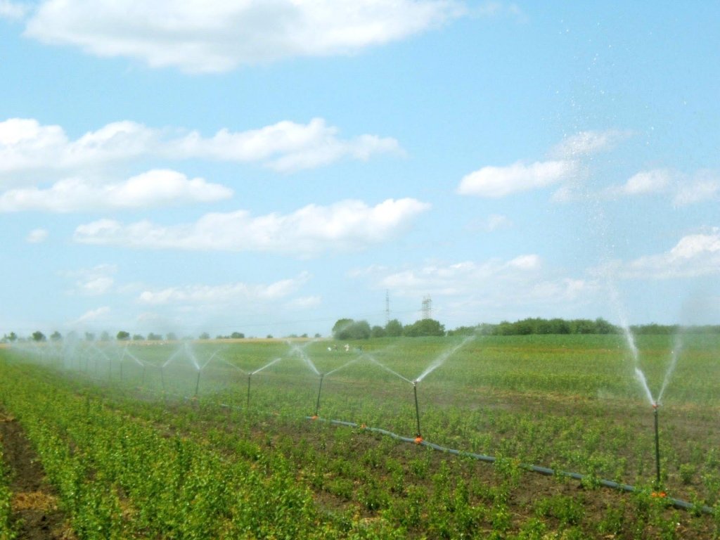  Ministerul Agriculturii pompează 145 milioane euro în irigaţii