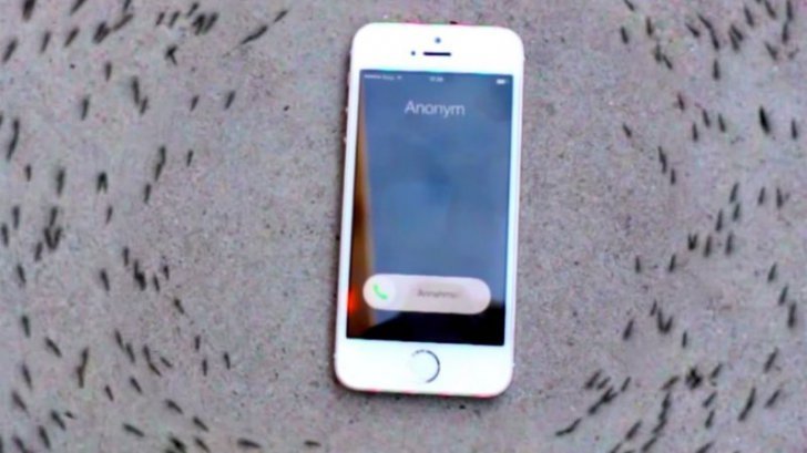  VIDEO: De ce reacţionează aşa furnicile în preajma unui iPhone?