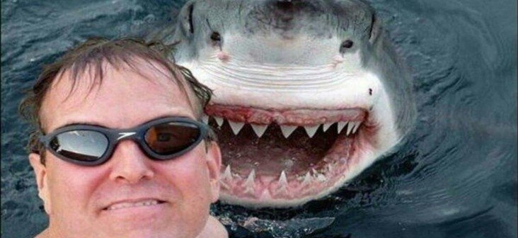  Selfie-urile au ucis mai mulţi oameni decât rechinii anul acesta