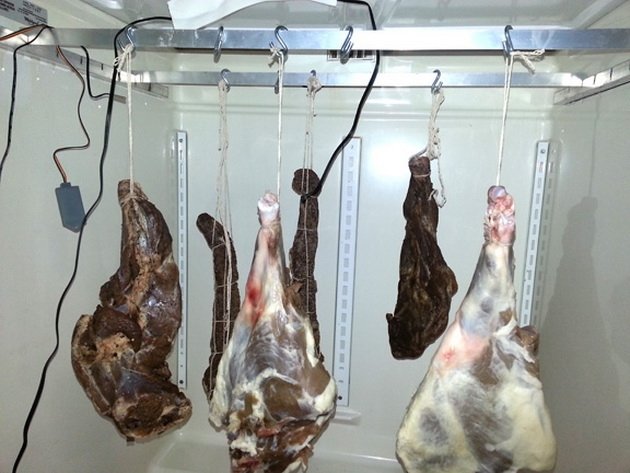  Percheziţii în frigiderul unui ieşean. Au fost confiscaţi iepuri congelaţi