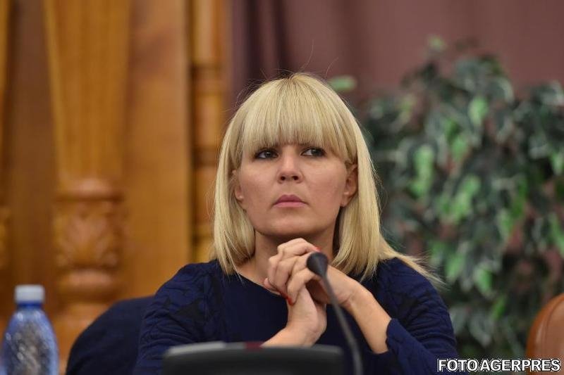  Elena Udrea, despre votul deputatilor: Daca au votat asa, probabil ca i-am convins