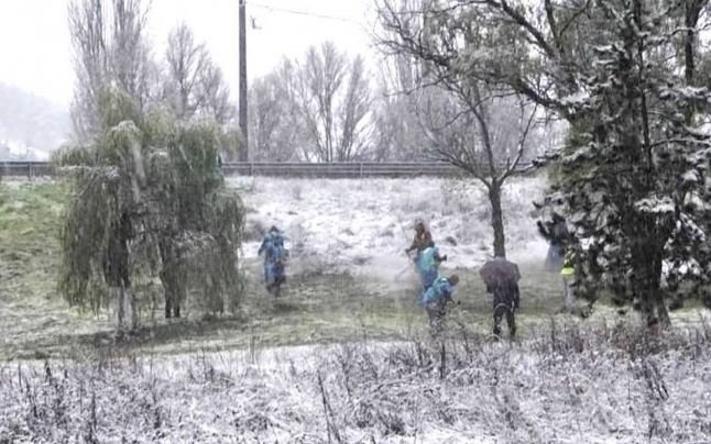  VIDEO: La cosit de iarbă, pe ninsoare, într-un oraș din România