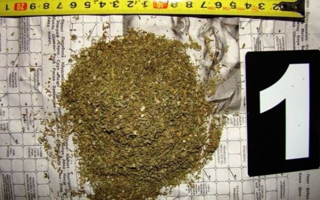  10 percheziţii aseară târziu la Iaşi într-un dosar de trafic de marijuana
