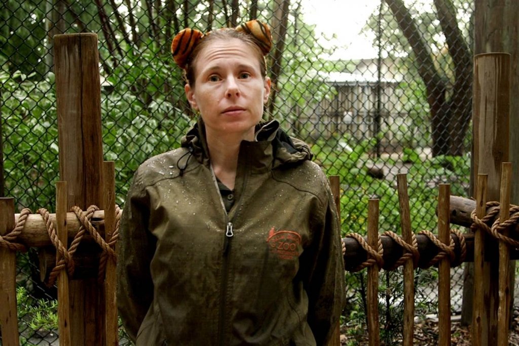  Angajata unei grădini zoologice, „îmblânzitoarea de tigri”, ucisă de o felină