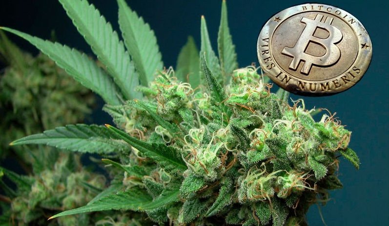  Un tânăr a cumpărat 1,2 kg de cannabis cu Bitcoin, chiar sub ochii poliţiştilor din Germania şi Iaşi