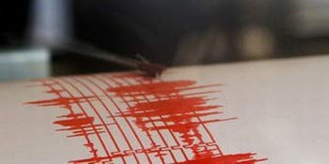  Doua cutremure produse joi dimineata in zona Vrancea