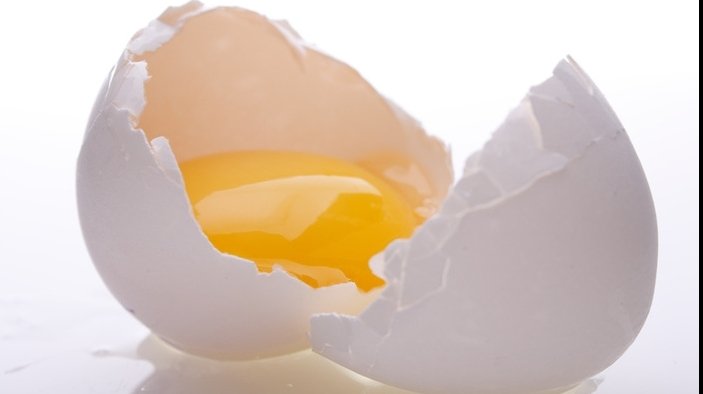  Experiment:  Mai mulți elevi au descoperit cum pot să eclozeze un pui de găină, fără ouă