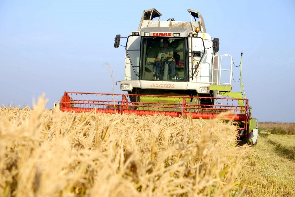  Val de insolvenţe în agricultură din cauza plăţii subvenţiilor cu întârziere