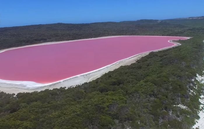  Lacurile roz, ciudățeniile naturii care strălucesc în culori superbe