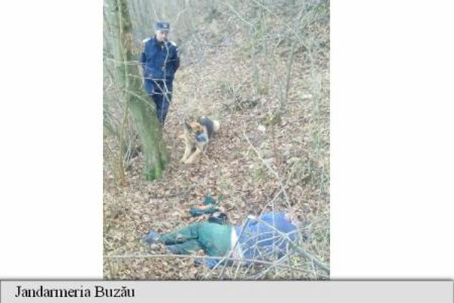 Câinele Pin de la Jandarmerie a descoperit cadavrul unui criminal care evadase
