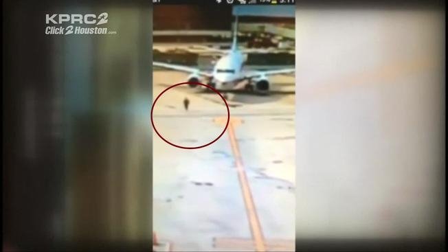  VIDEO: Nebunie pe un aeroport. O femeie a sărit dintr-un avion în mers