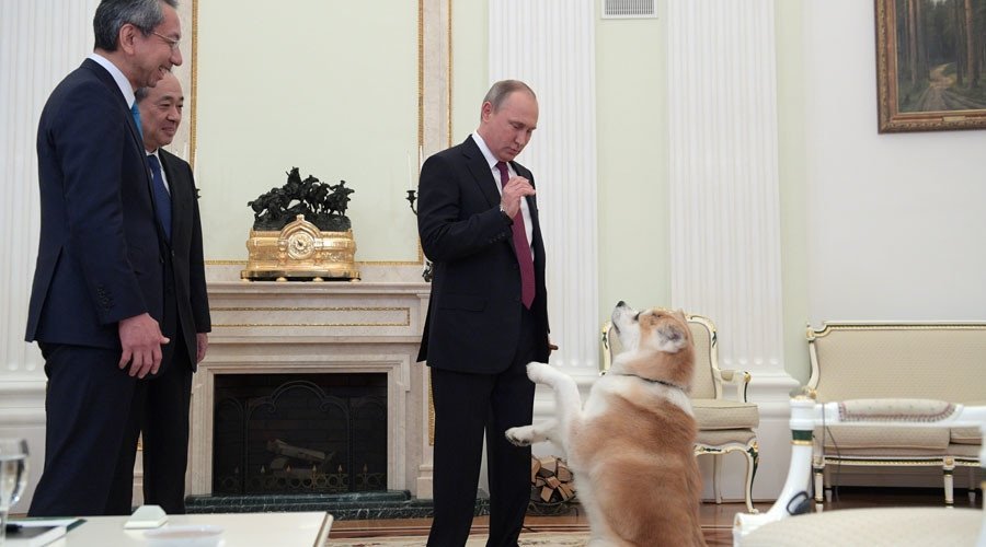  VIDEO: Vladimir Putin s-a dus cu un câine la întâlnirea cu jurnaliștii japonezi