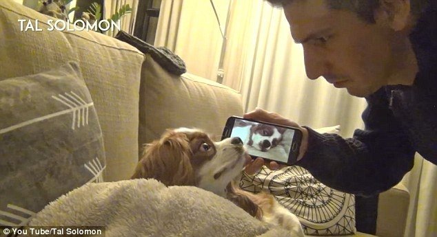  VIDEO: Cum să-ți oprești câinele din sforăit! Iată o metodă la care nu te-ai gândit