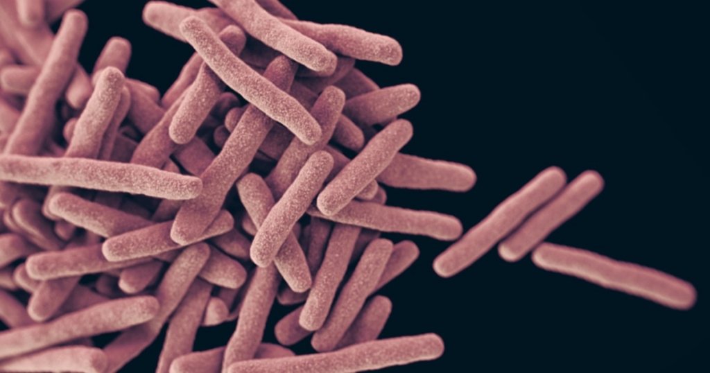  ”Bacteria de coşmar” se răspândeşte în spitalele din Statele Unite. Niciun antibiotic nu are efect asupra ei şi este greu de detectat