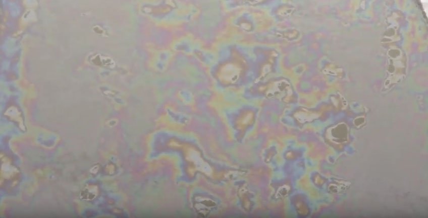  VIDEO: ÎNGRIJORĂTOR! Substanțe toxice deversate în râul Bahlui!