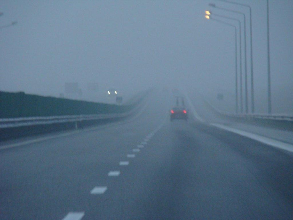  Dacă aveţi drum în sudul ţării aveţi mare grijă la ceaţă: vizibilitatea este sub 100 de metri
