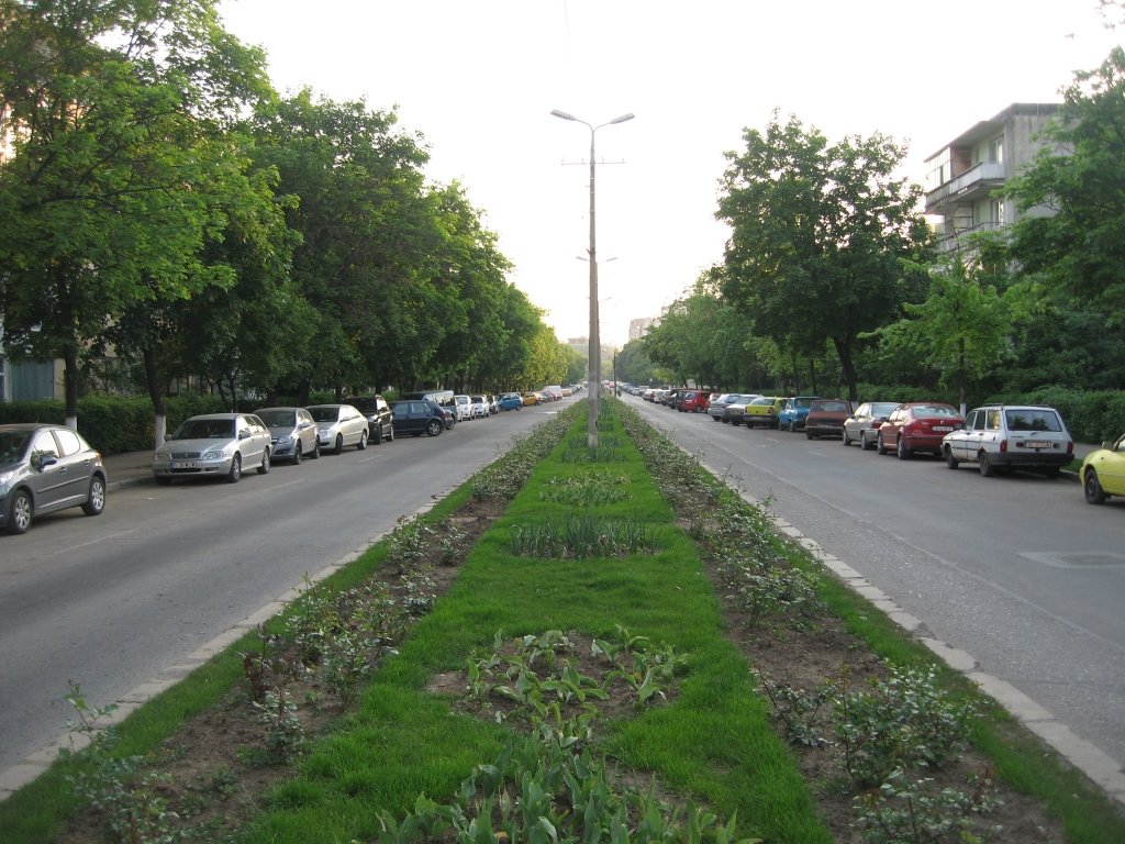  Bulevardul Cantemir, închis parţial timp de şase luni: se asfaltează!