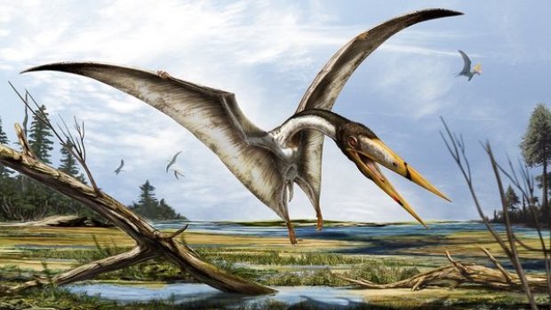  Specie de pterozauri cu creastă, descoperită pe teritoriul României