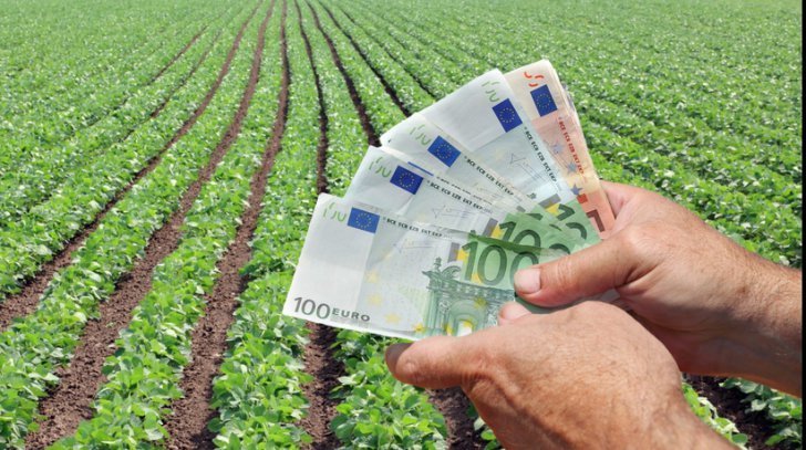  Ministrul Agriculturii: Numărul de cereri pentru subvenţii a scăzut în 2017, dar suprafaţa totală a crescut