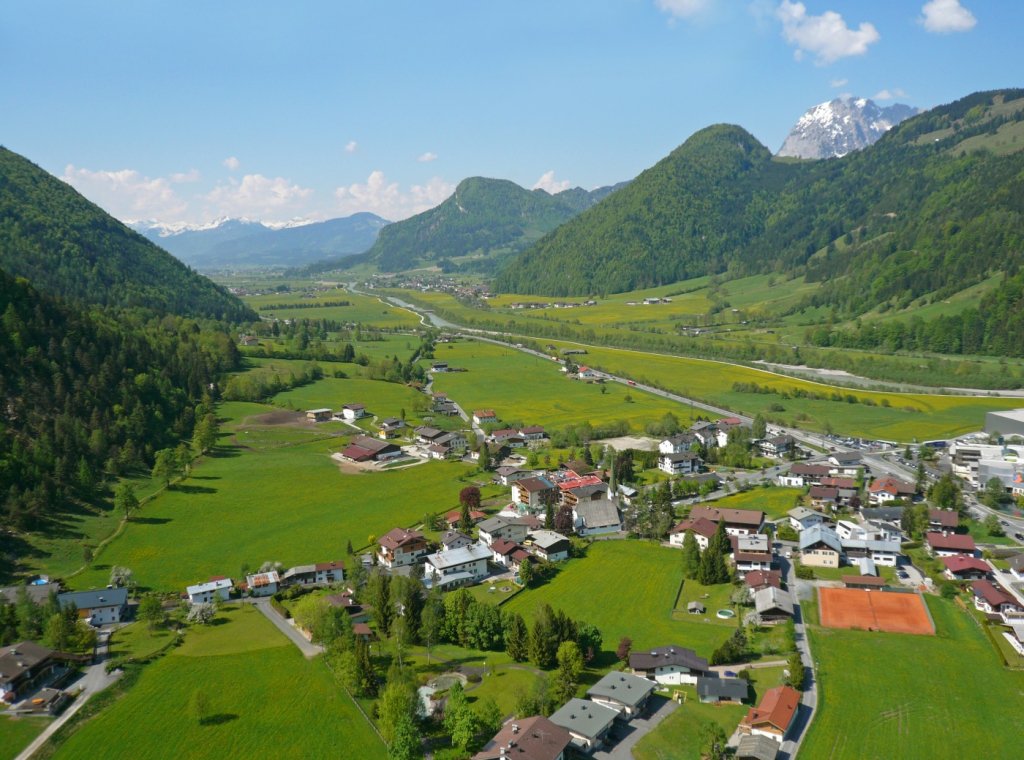  Incident neobişnuit în Austria: O femeie a fost ucisă de o vacă în Tirol