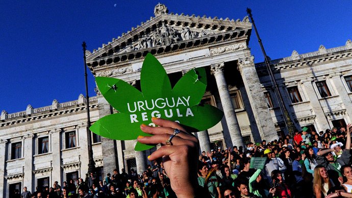  Premieră mondială: Canabis în scop recreativ vândut în farmaciile din Uruguay
