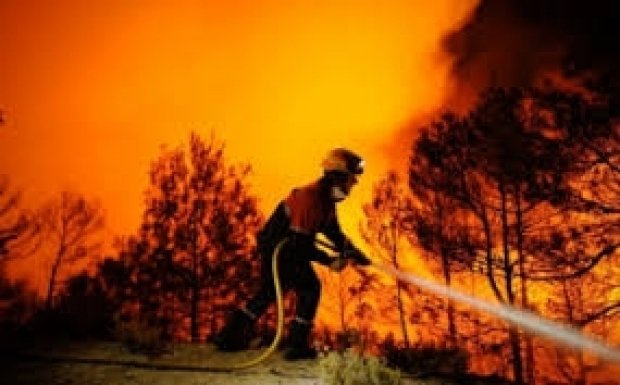  Muntenegru cere ajutorul UE în lupta împotriva incendiilor
