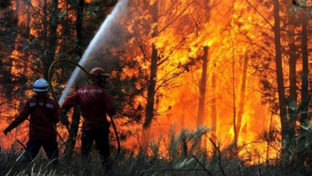  Zeci de pompieri și voluntari luptă cu incendii în Munţii Apuseni şi Şureanu