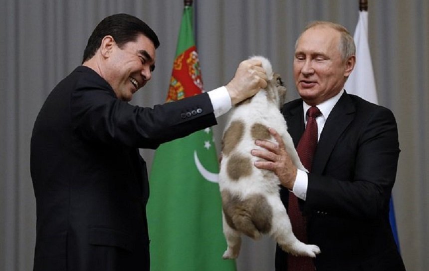  (VIDEO) Putin a primit cadou de ziua sa un pui de ciobănesc din Asia Centrală