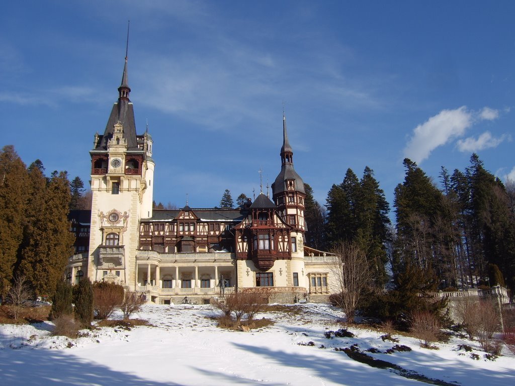  Averea Casei Regale a României: Ce le-a lăsat regele Mihai urmaşilor săi