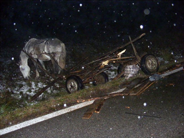  Căruţă cu lemne izbită de o maşină, la Mogoşeşti: cinci victime