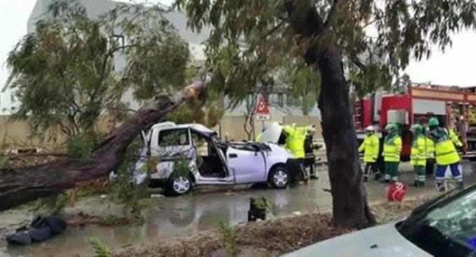  Un român a murit în Malta după ce un copac a căzut pe maşina lui