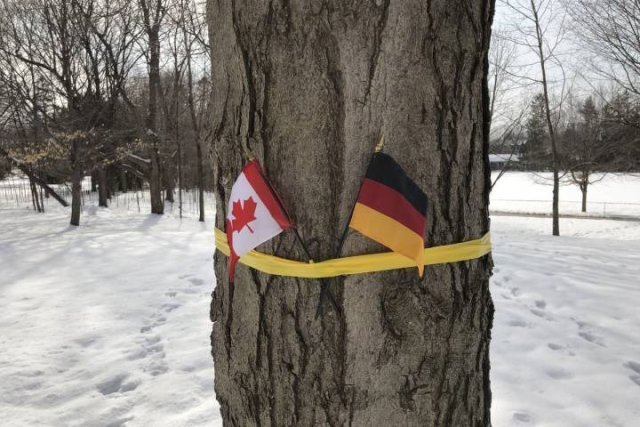  GAFĂ la nivel înalt! Autorităţile au încurcat drapelul Belgiei cu cel al Germaniei