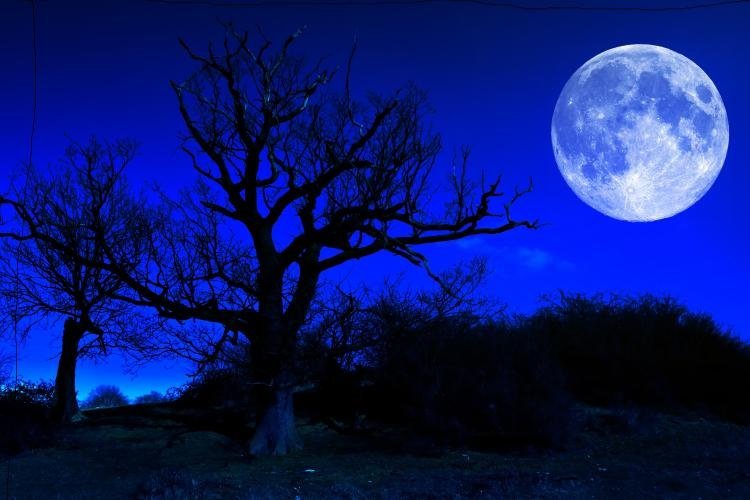  Sâmbătă se poate vedea ultima Lună albastră până în 2020