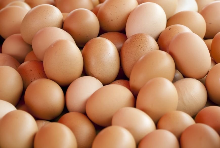  Sute de milioane de ouă infestate cu salmonella au fost retrase de pe piaţă