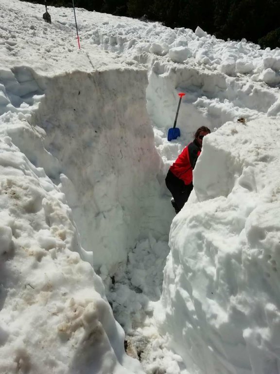  Trupul salvamontistului surprins de avalanşă în Munţii Călimani, găsit după 6 luni