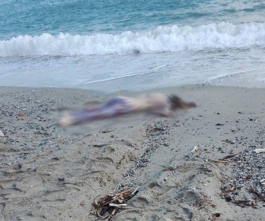  FOTO: Cadavrul unei românce, descoperit pe o plajă din Italia