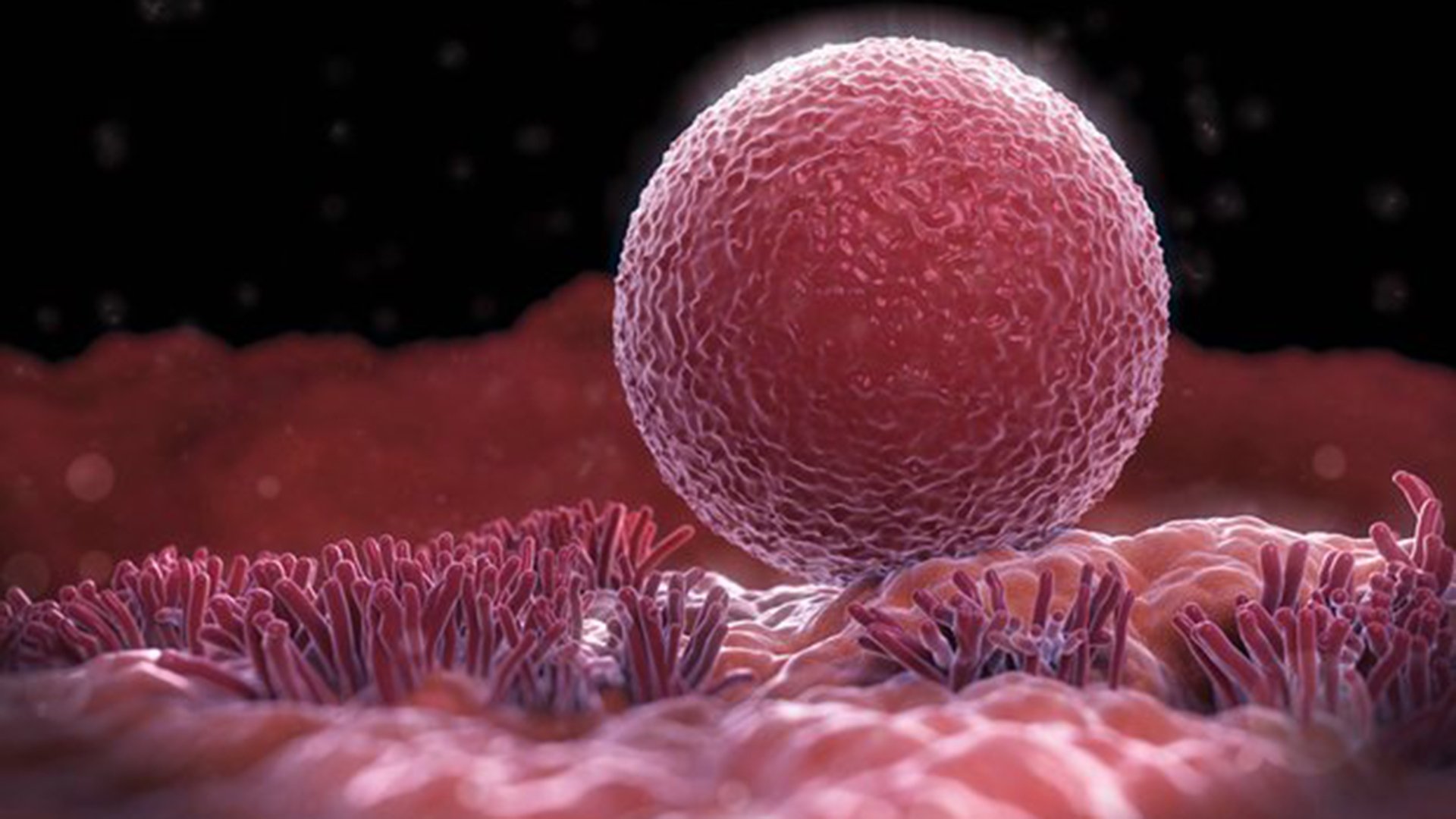  Cercetătorii au dezvoltat un tratament de fertilitate cu ajutorul ovarelor artificiale