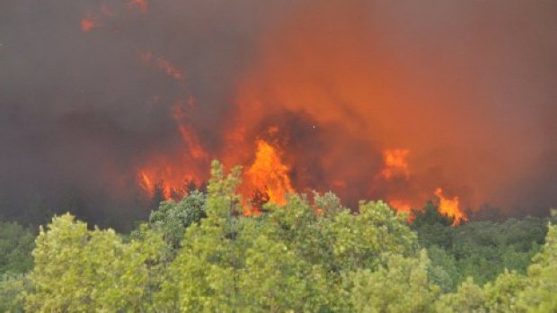  Risc ridicat de incendii în Grecia, inclusiv în staţiunile turistice