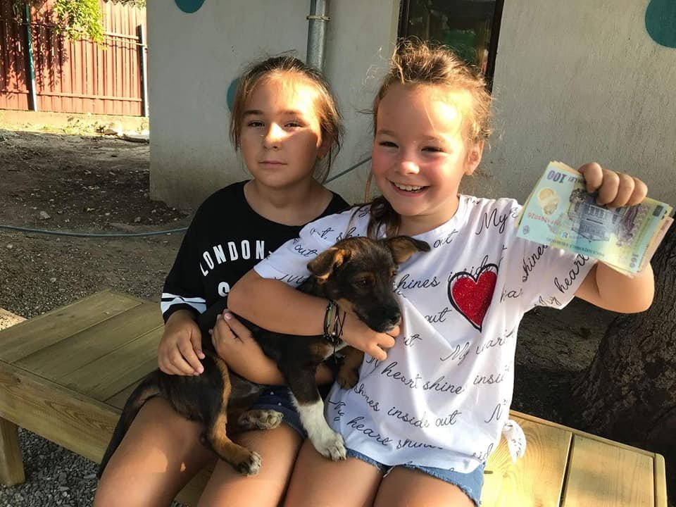  Mai mulți copii din Iași au strâns bani pentru câinii din adăpost din vânzarea prăjiturilor