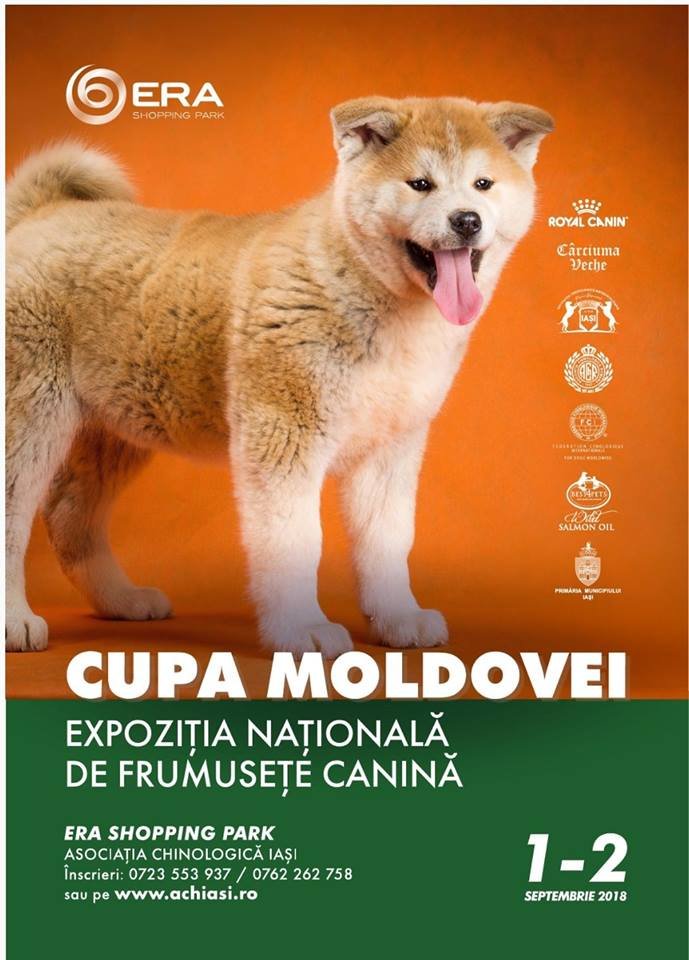  Cei mai frumoși câini vor concura weekend-ul acesta în Iași la Cupa Moldovei
