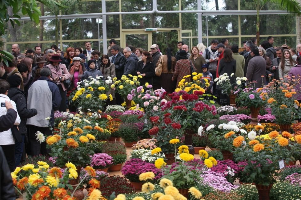  Universitatea „Alexandru Ioan Cuza“ împlinește 158 ani. Expoziția «Flori de toamnă» în program