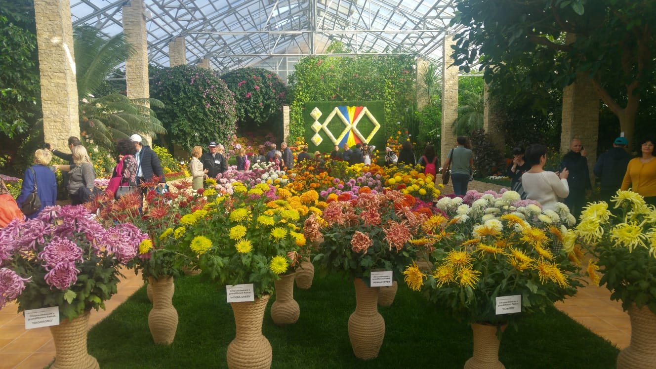  FOTO: Mii de vizitatori în Grădina Botanică, la expoziţia de flori de toamnă
